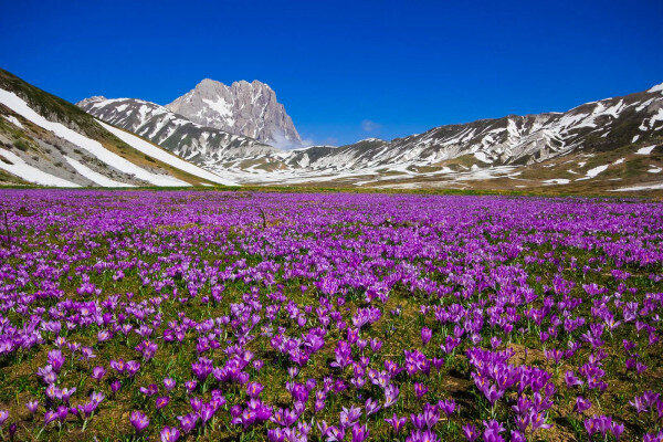 From the small Tibet to the Corno Grande of Gran Sasso