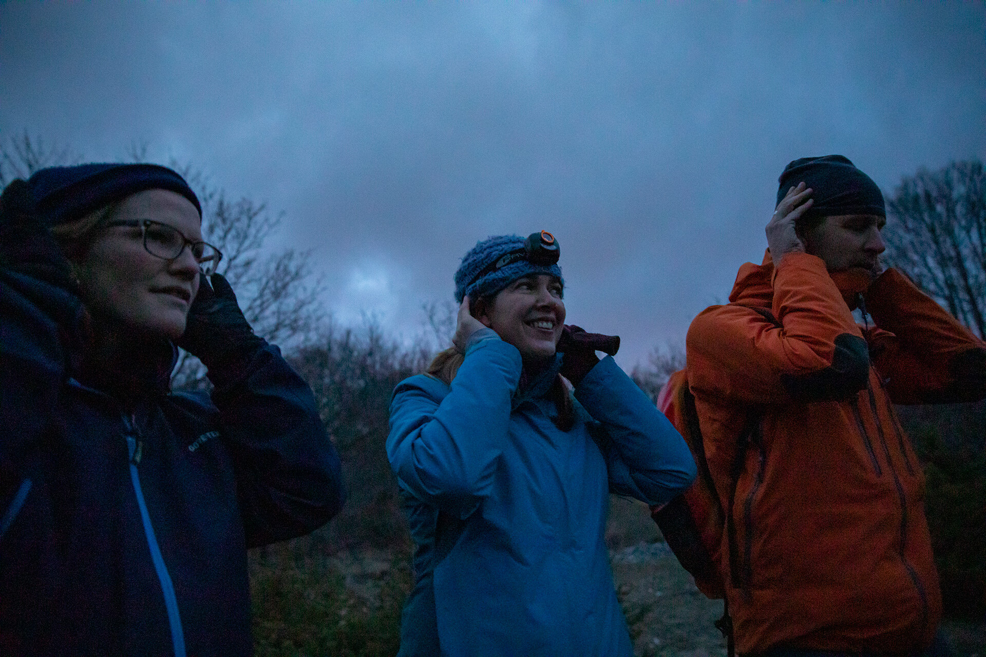 Wildlife Watching Osservazione Abruzzo Ululato