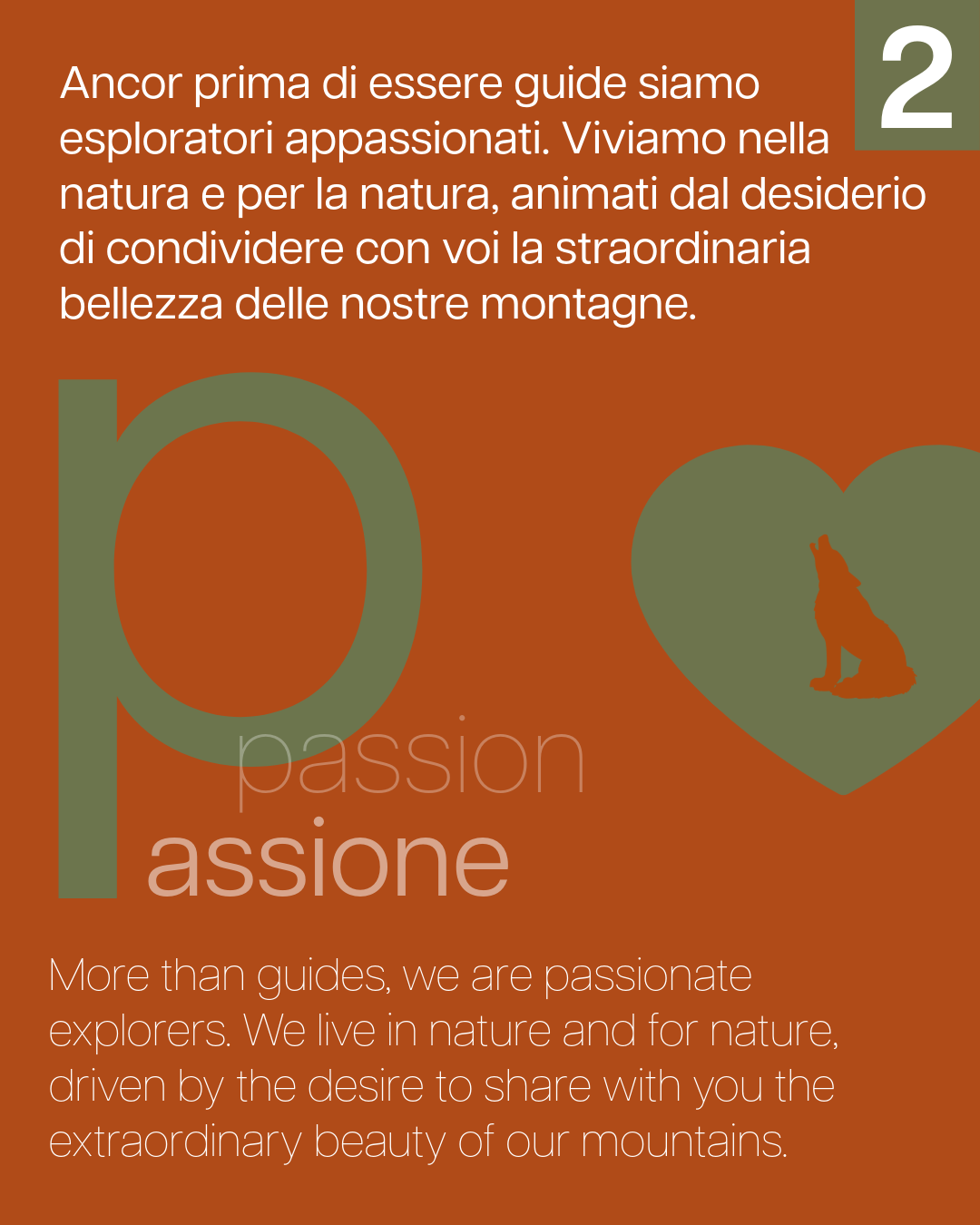 Infografica 02 Wildlife Adventures Passione