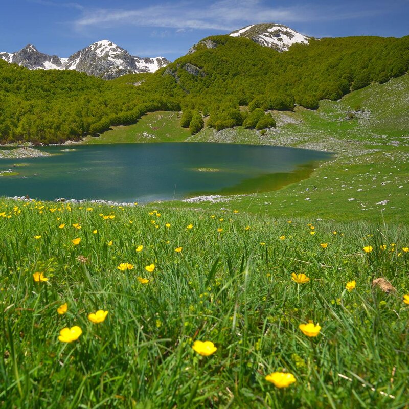 Il Lago Vivo in Abruzzo al suo risveglio primaverile | © Marco Buonocore - Wildlife Adventures