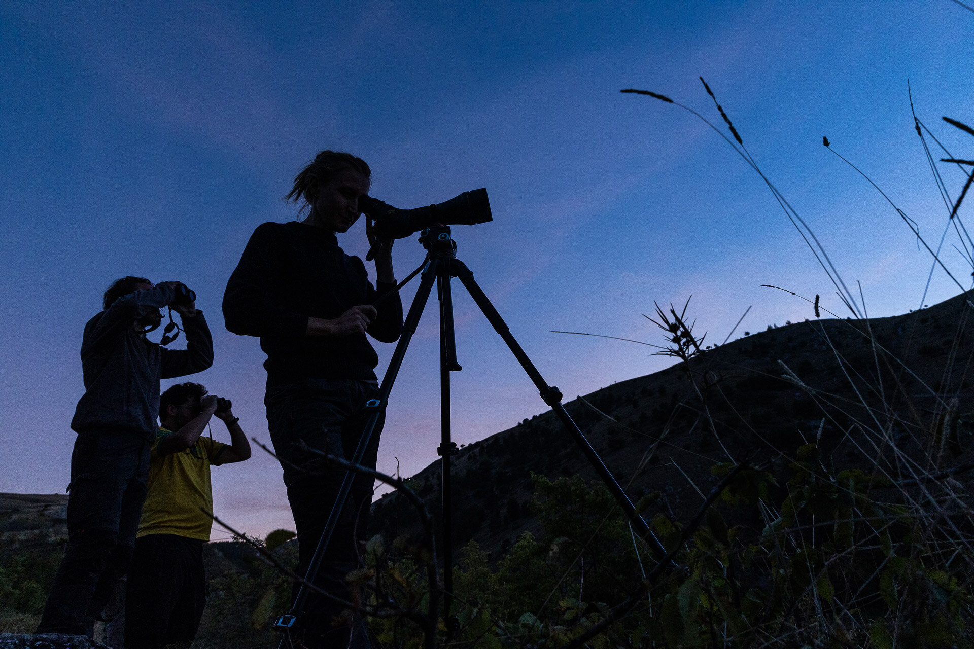 Wildlife watching in Italia: 10 segreti per un'esperienza coinvolgente e responsabile