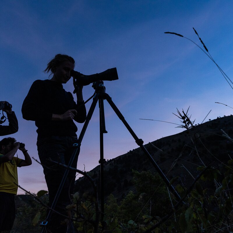 Wildlife watching in Italy: 10 secrets for an intimate and respectful experience
