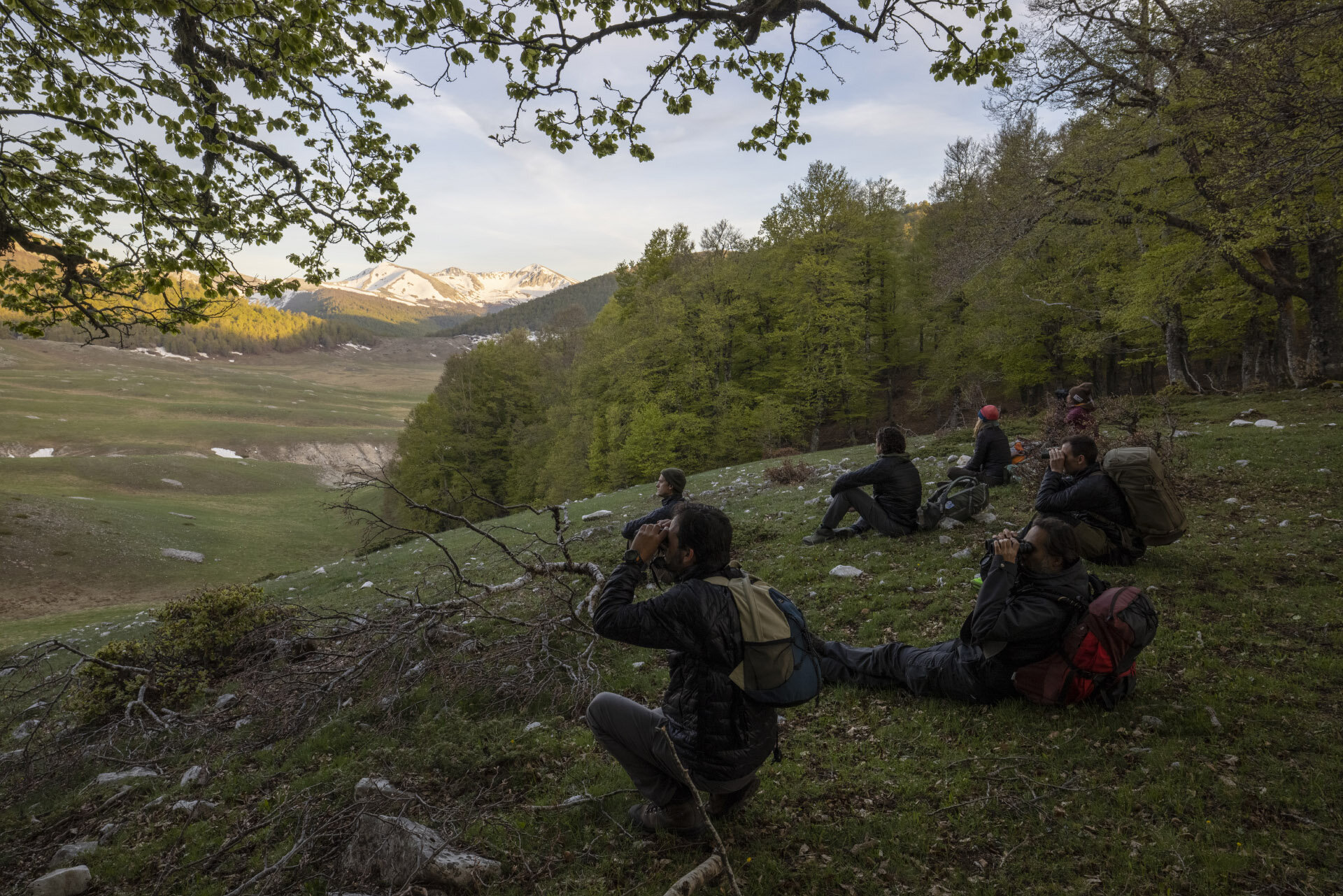 Wildlife Watching Abruzzo Osservazione Tramonto | © Bruno D'Amicis - Wildlife Adventures