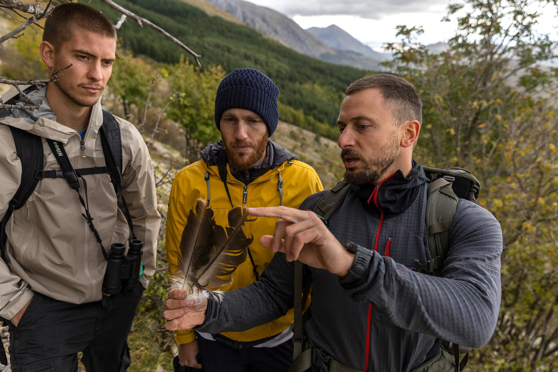 Wildlife Watching Grifone Abruzzo
