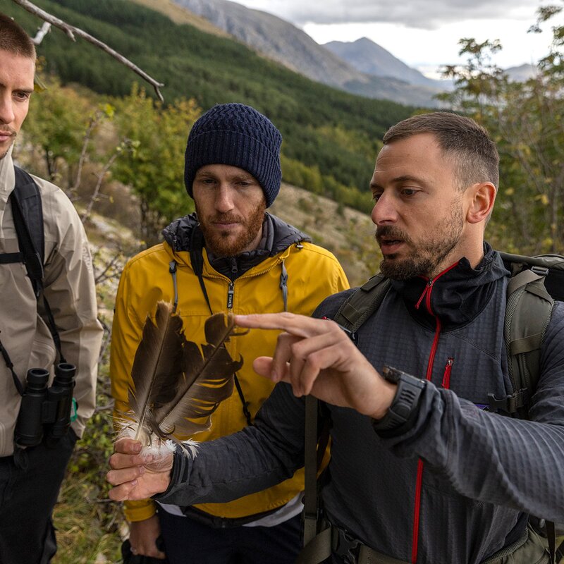 Rewilding Weeks in Central Apennines