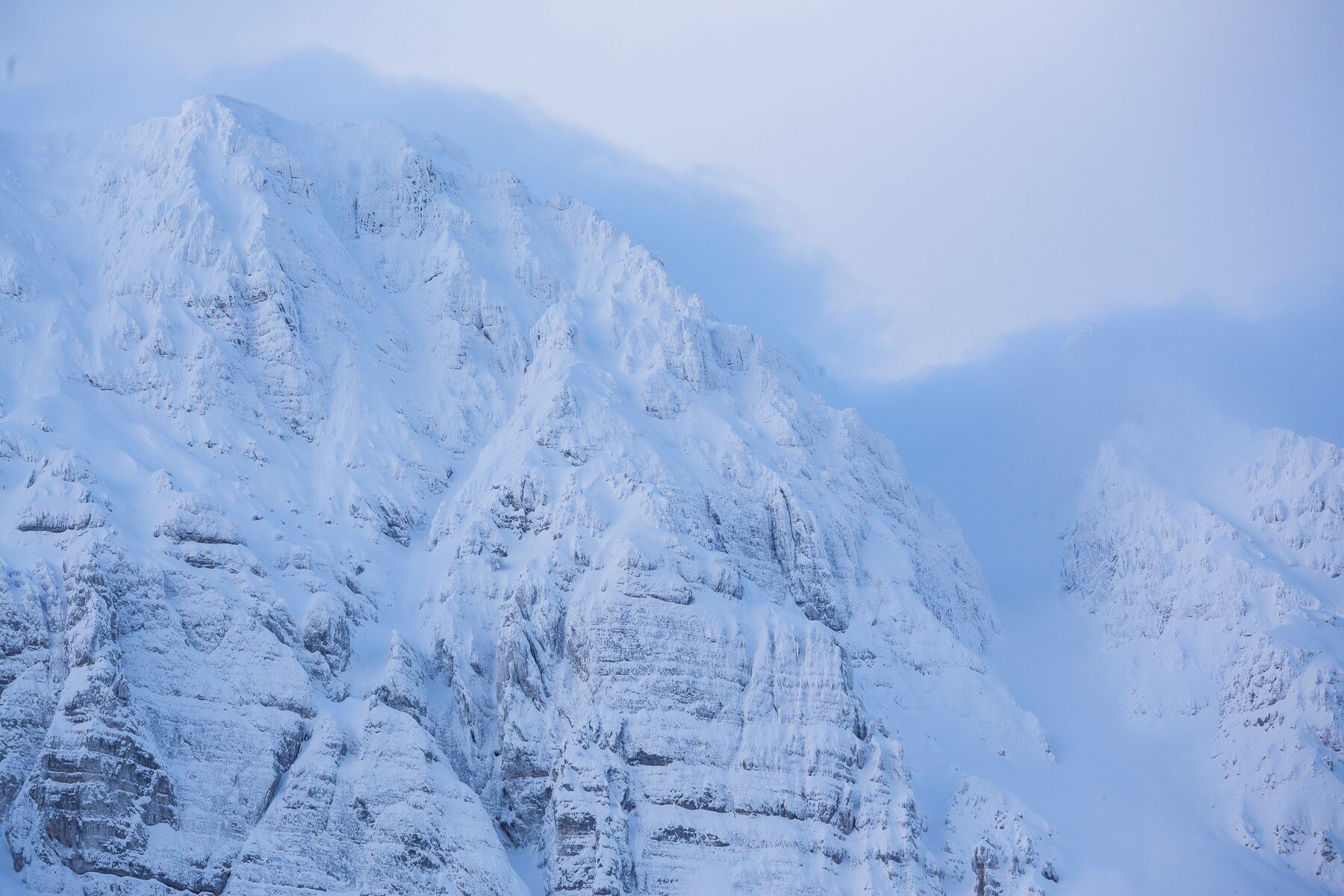 Wildlife Adventures -  Scopri l'Abruzzo | © Archivio Wildlife Adventures