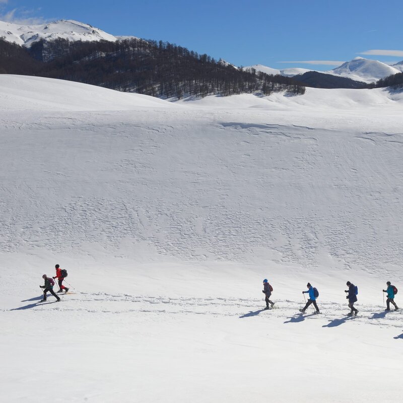 Escursione con le ciaspole nella Valle di Terraegna di Pescasseroli | © Marco Buonocore - Wildlife Adventures Escursione con le ciaspole nella Valle di Terraegna di Pescasseroli | © Marco Buonocore - Wildlife Adventures