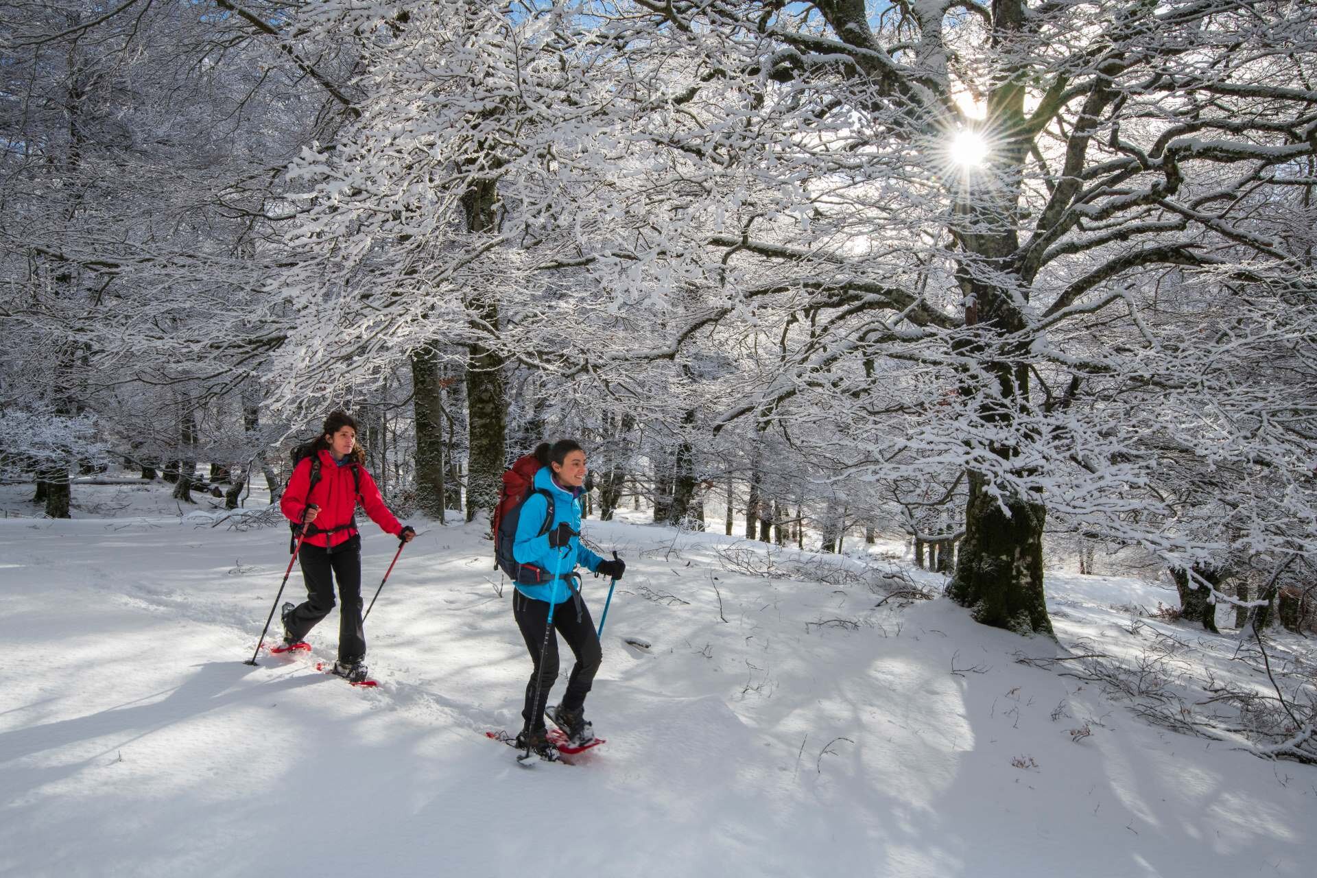 Snowshoeing through the Difesa Forests in Pescasseroli, Abruzzo | © Umberto Esposito - Wildlife Adventures