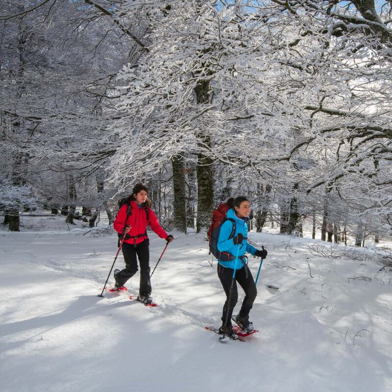 Escursione con le ciaspole nei Boschi della Difesa di Pescasseroli in Abruzzo | © Umberto Esposito - Wildlife Adventures Escursione guidata con le ciaspole nei Boschi della Difesa di Pescasseroli, Abruzzo | © Umberto Esposito - Wildlife Adventures
