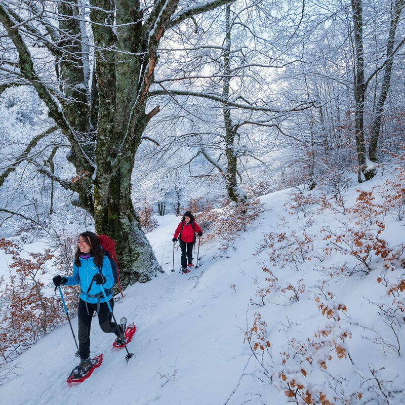 Escursioni con le ciaspole a Pescasseroli: 6 itinerari per vivere la magia dell’Inverno Escursioni con le ciaspole a Pescasseroli: 6 itinerari per vivere la magia dell’Inverno