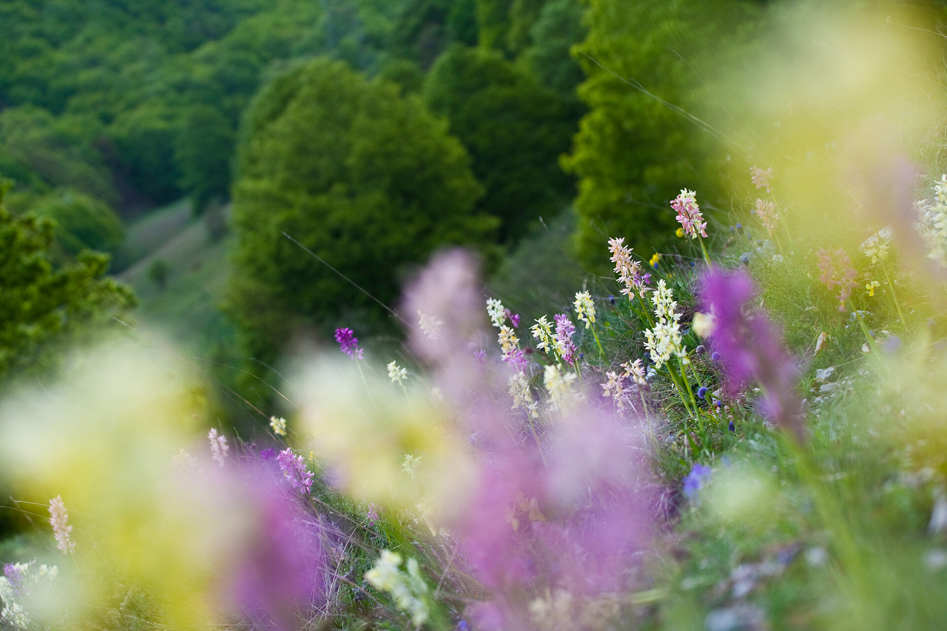 La Valle di Prato Rosso e Terraegna in e-bike
