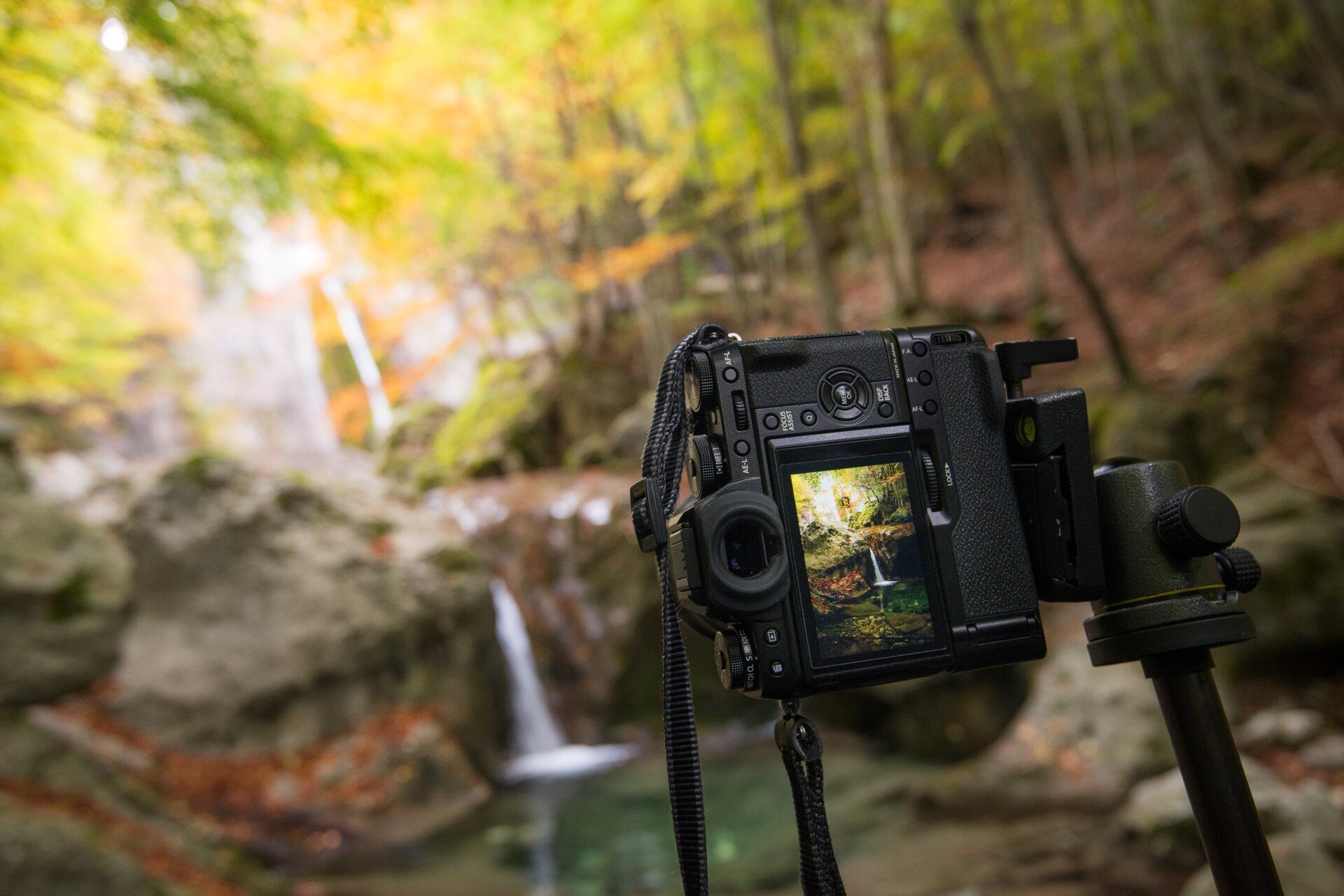 Wildlife Adventures - Tour fotografici in Abruzzo | © Archivio Wildlife Adventures