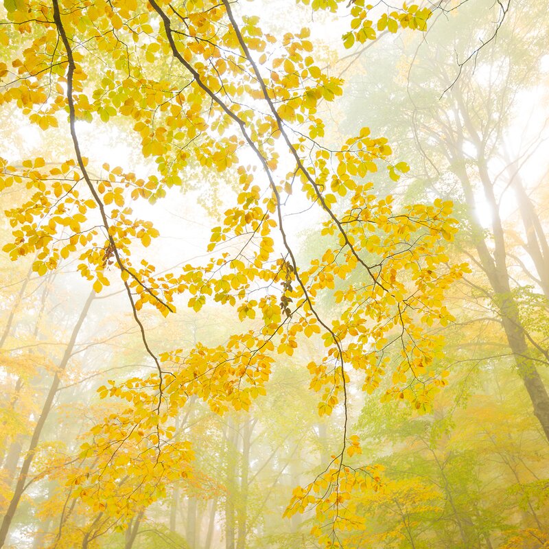 Autumn colors in Abruzzo