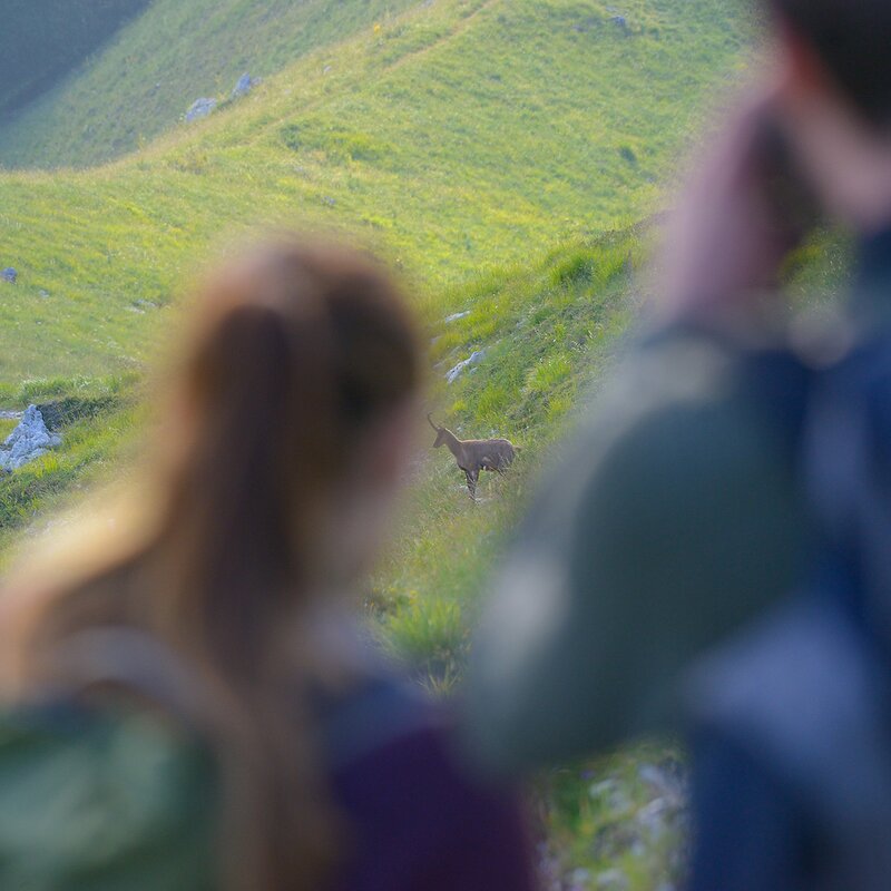 Monte Amaro di Opi, evoluzioni ad alta quota