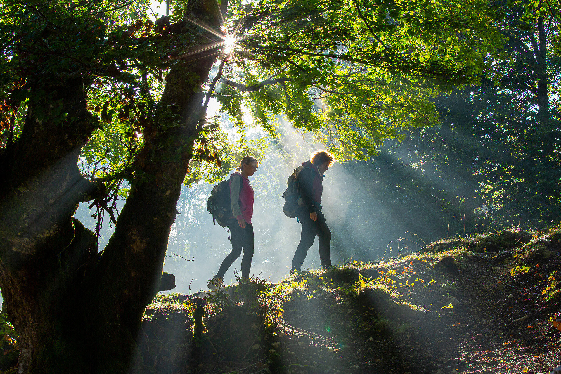 Pescasseroli: escursione guidata nei boschi della Difesa, antichissimo pascolo incastonato fra le montagne del Parco Nazionale d'Abruzzo | © Bruno D'Amicis - Wildlife Adventures