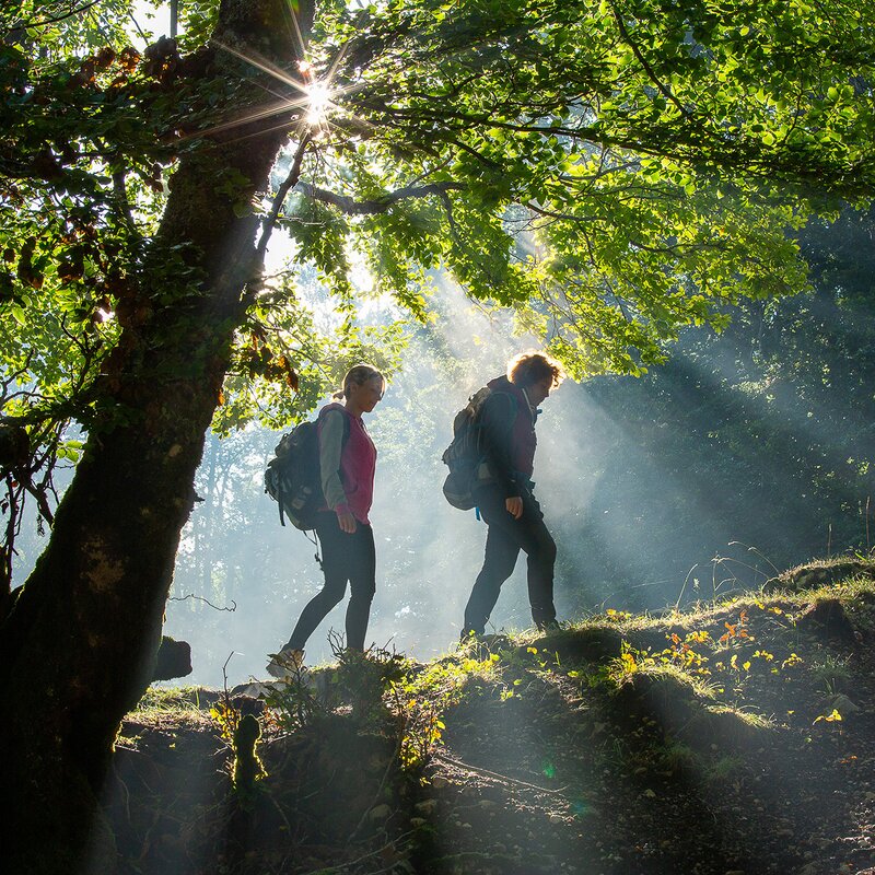 The ancient forest of Pescasseroli