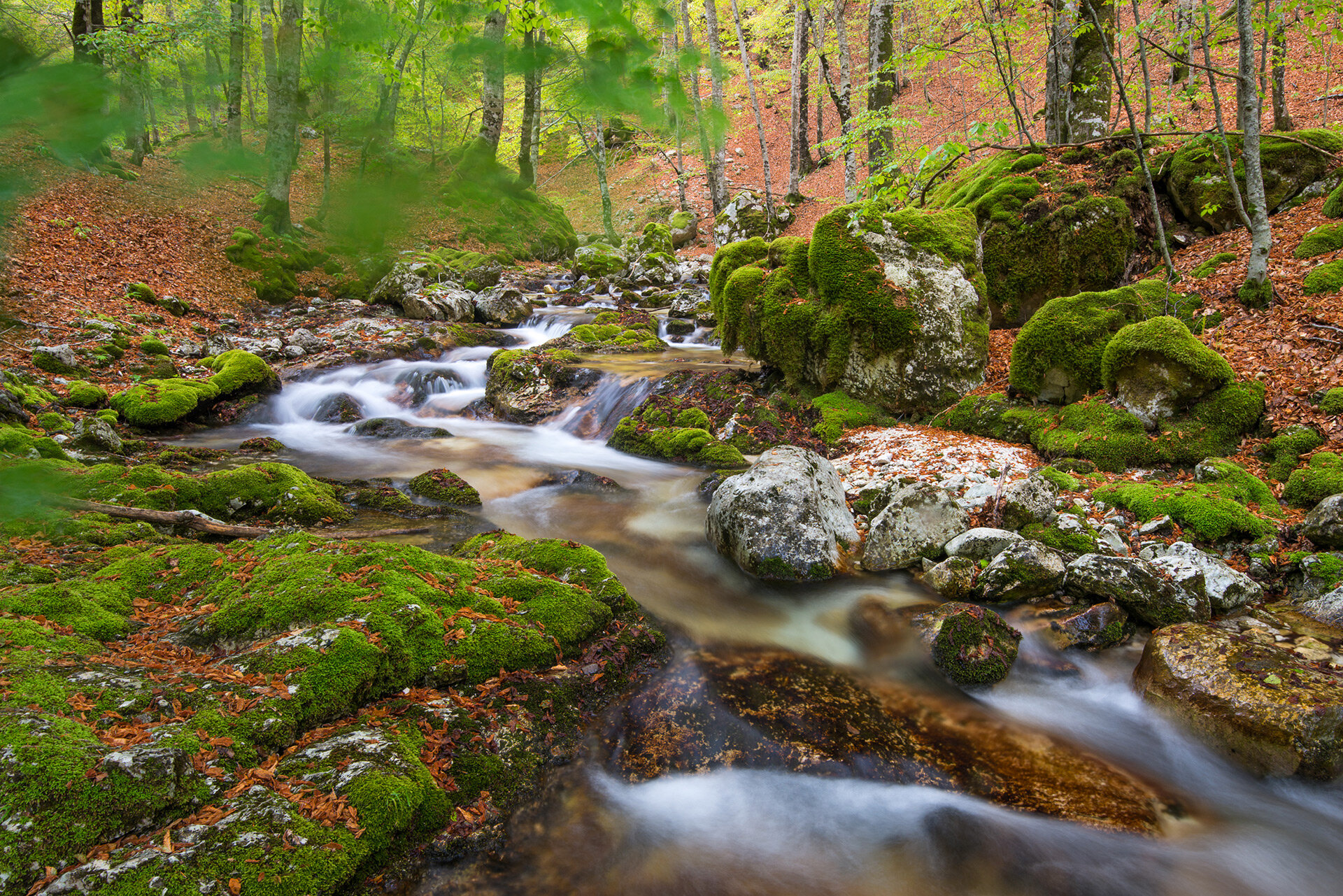 Escursione Val Fondillo Sorgenti Opi Abruzzo