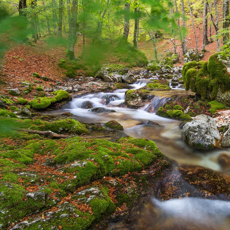 La Val Fondillo, i racconti di una valle speciale