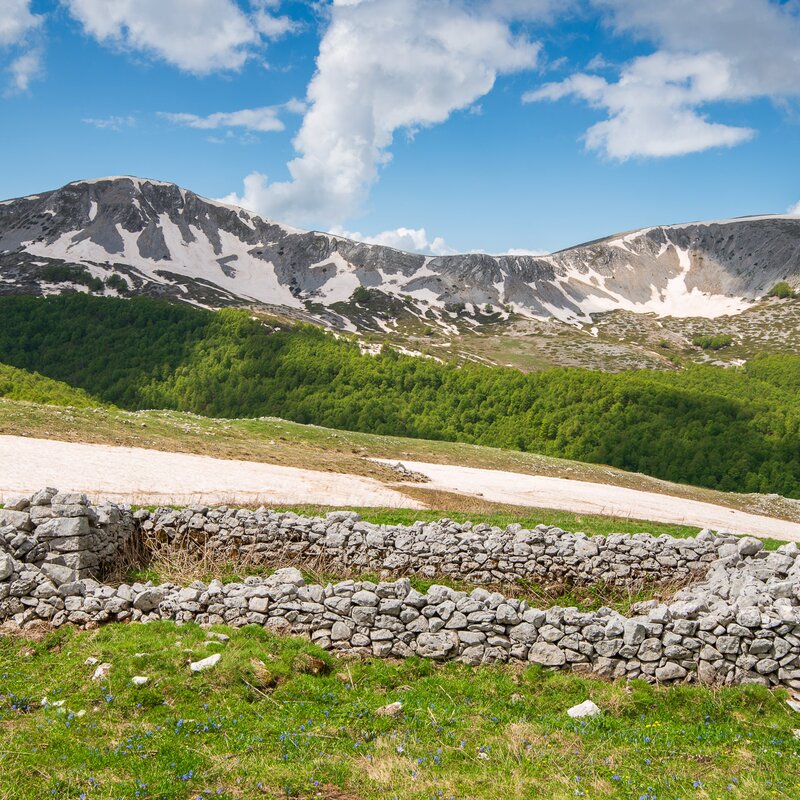 Il Monte Marsicano, tra orsi, cervi e camosci