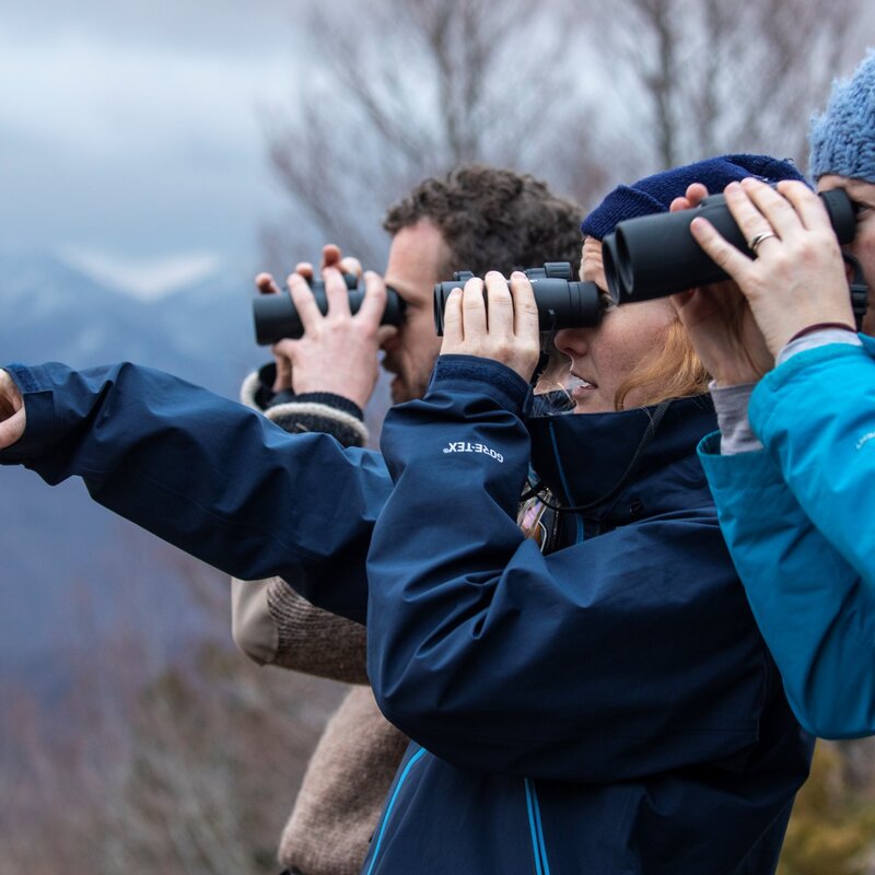 Wildlife Adventures - Watching | © Archivio Wildlife Adventures