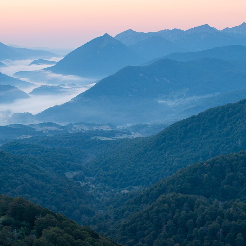 Un infinito susseguirsi di faggete e crinali montuosi avvolti dalla nebbia mattutina nel cuore del Parco Nazionale d'Abruzzo, Lazio e Molise | © Umberto Esposito - Wildlife Adventures