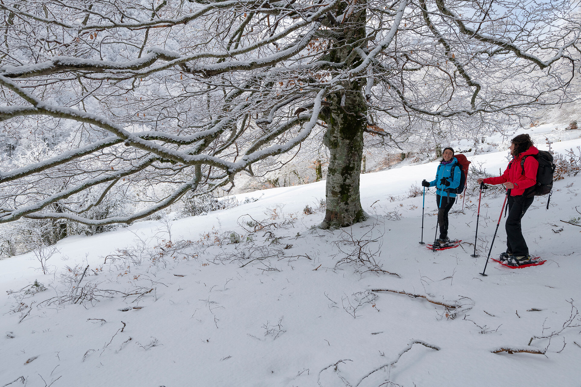 Guided snowshoe hike through forests and wildlife in Pescasseroli, Abruzzo | © Umberto Esposito - Wildlife Adventures