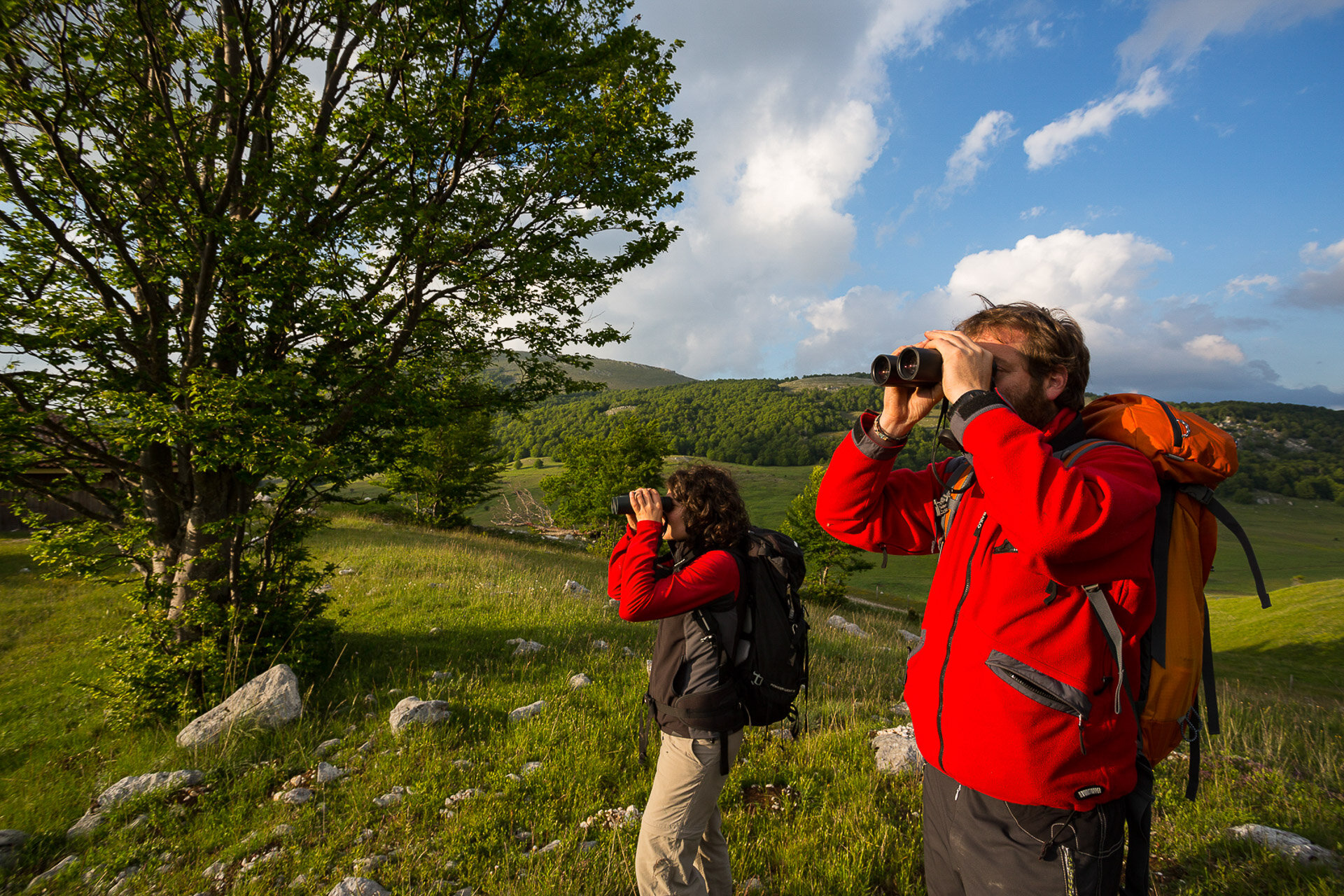 Escursione guidata in Abruzzo per l'osservazione dell'orso bruno marsicano nel suo ambiente naturale  | © Bruno D'Amicis - Wildlife Adventures
