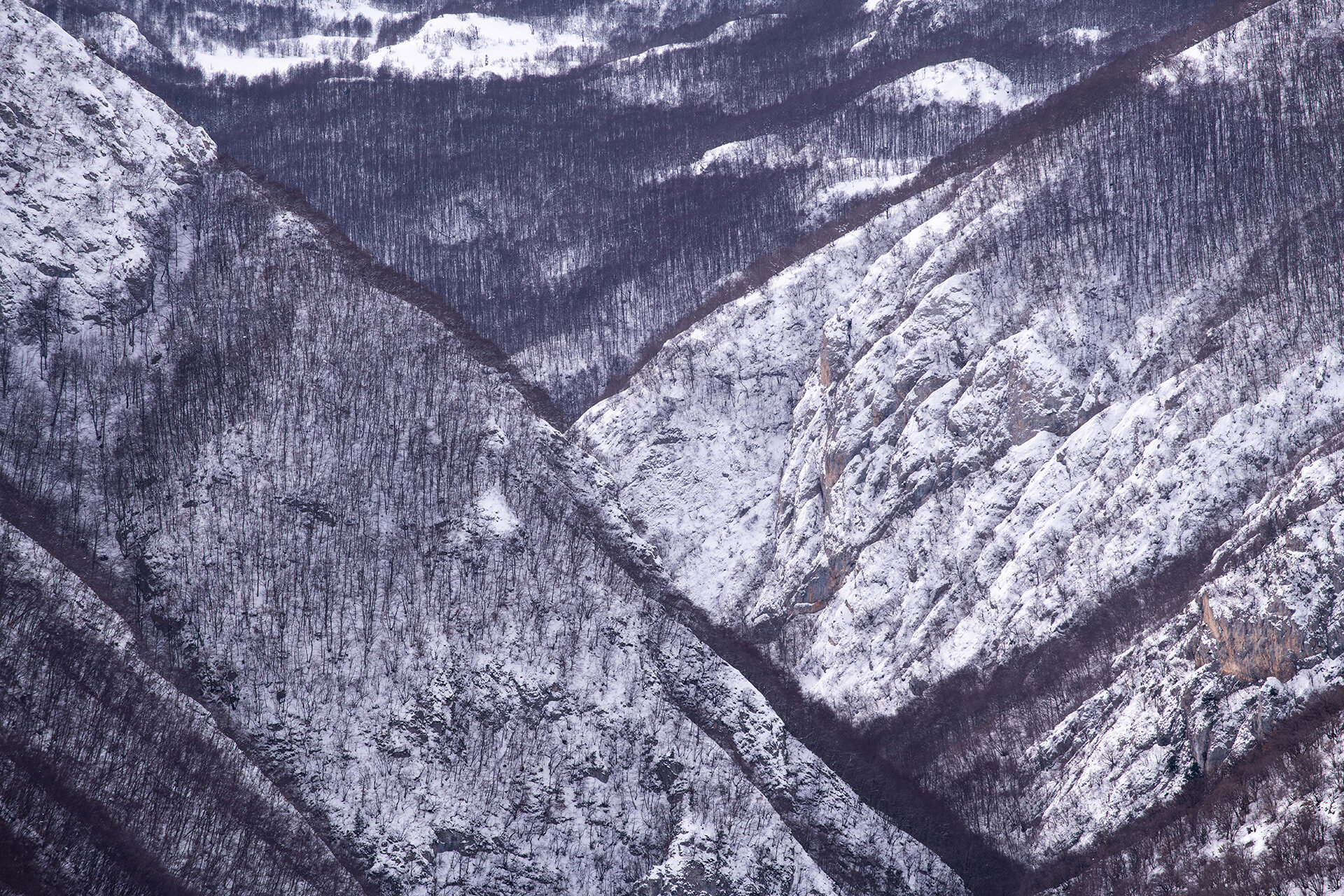 La maggior parte delle tane note di orso in Appennino sono localizzate in sistemi rocciosi all’interno delle faggete più remote e tranquille. | © Umberto Esposito - Wildlife Adventures
