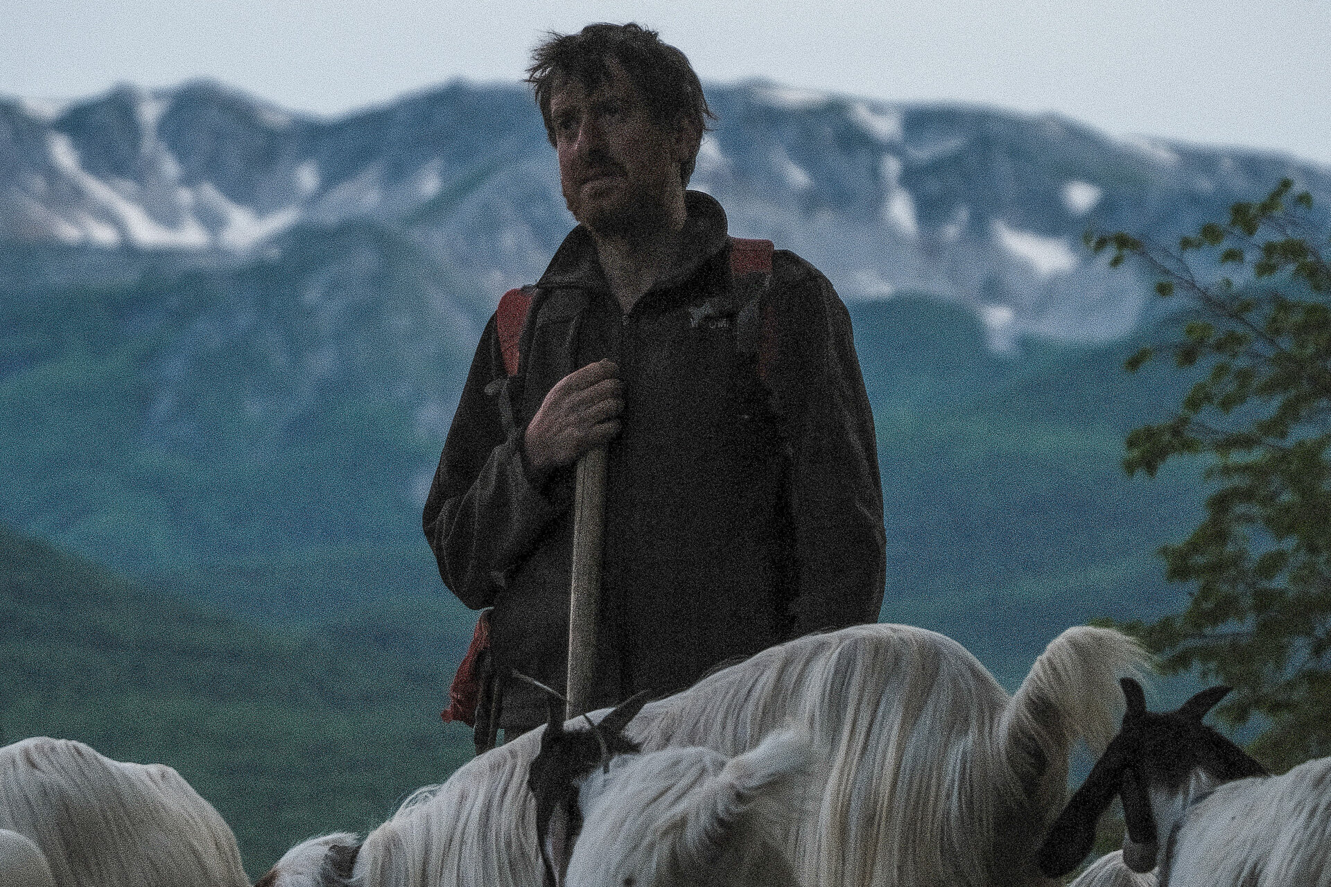 Zooristur racconta una scelta di vita: vivere tra le montagne d’Abruzzo, allevare capre con rispetto e produrre formaggi artigianali che sanno di natura, passione e semplicità. | © Wildlife Adventures