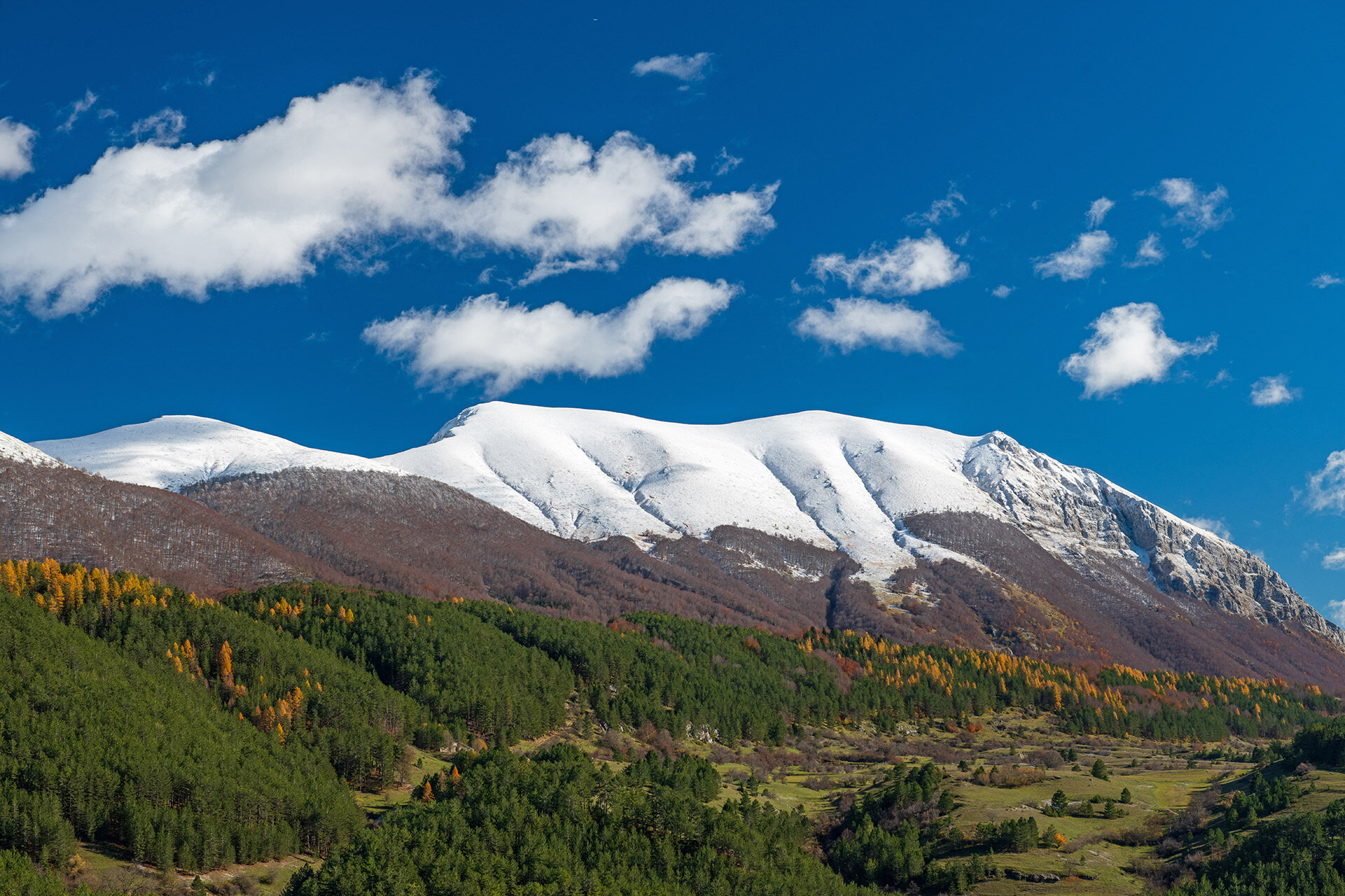 The snow-covered profile of Monte Marsicano, the highest peak in the Pescasseroli area, rises above autumn woods beneath a deep blue sky. | © Umberto Esposito - Wildlife Adventures