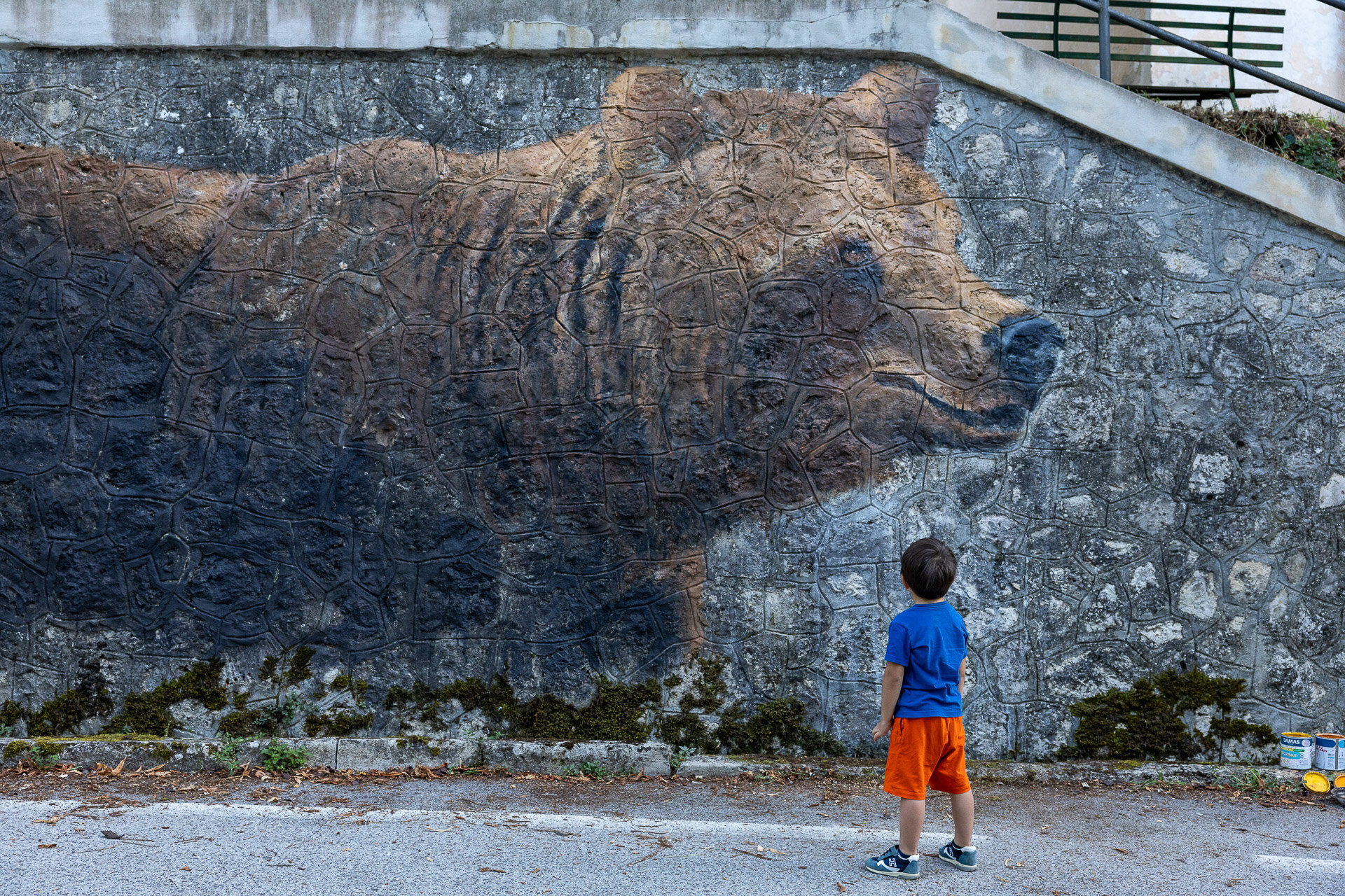 Pettorano Sul Gizio Orso Murales Abruzzo