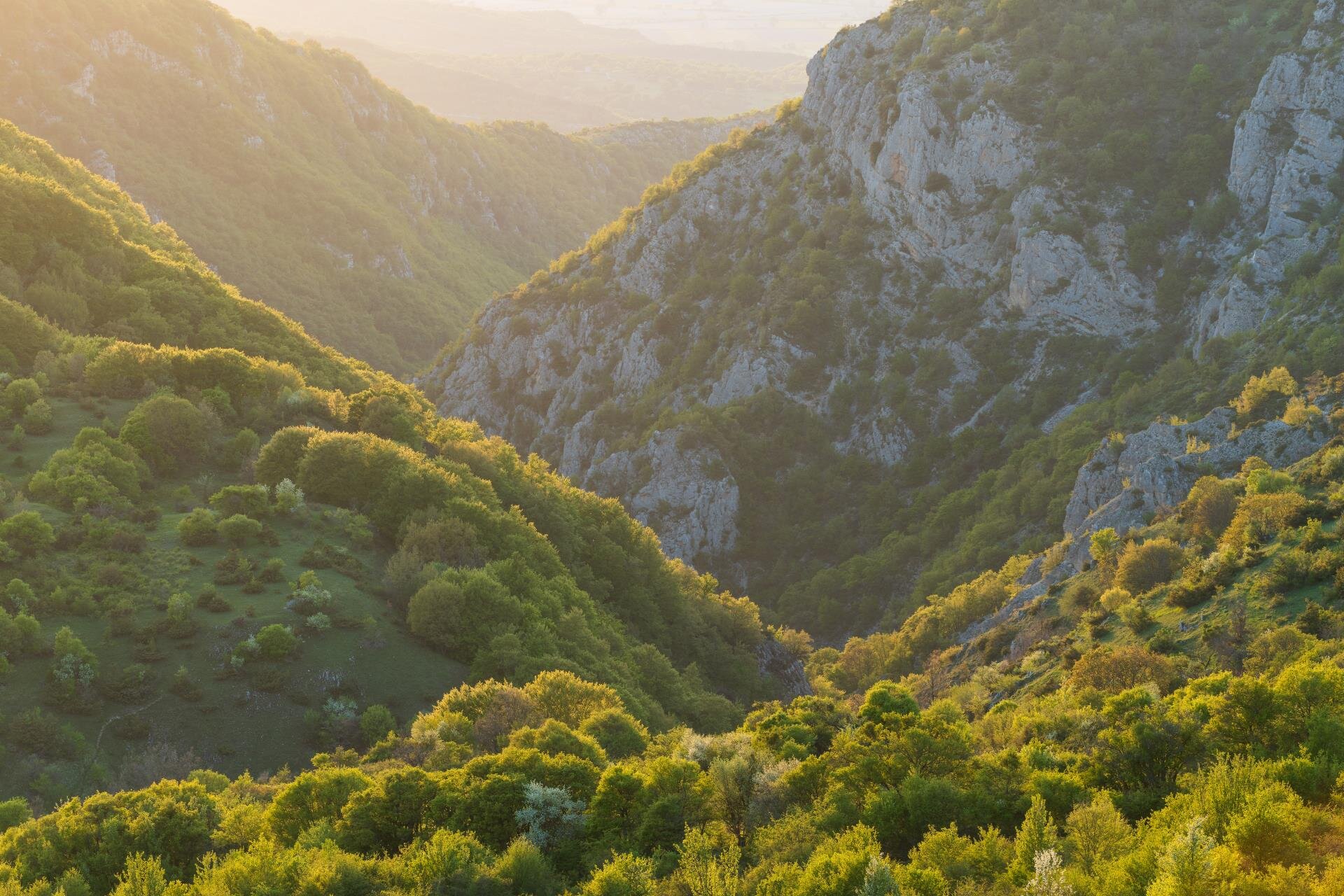 Scoprire l'abruzzo con Wildlife Adventures | © Umberto Esposito- Wildlife Adventures