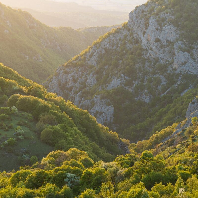 Fotografia scattata a Vallone Macrana in primavera, durante un trekking guidato in Abruzzo | © Umberto Esposito- Wildlife Adventures Scoprire l'abruzzo con Wildlife Adventures | © Umberto Esposito- Wildlife Adventures