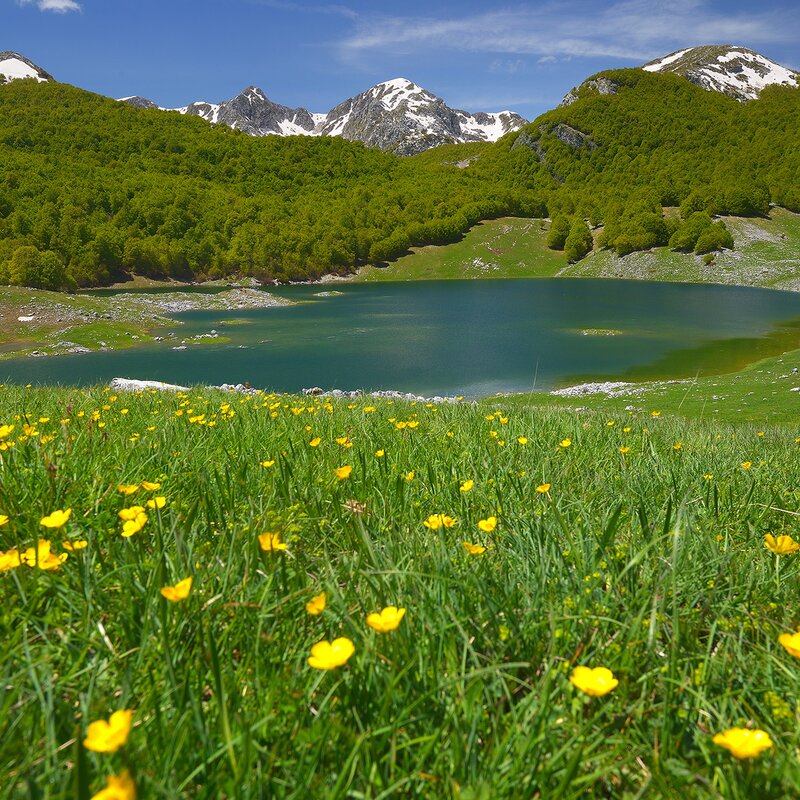 Lago vivo, la bellezza della natura senza confini Lago vivo, la bellezza della natura senza confini