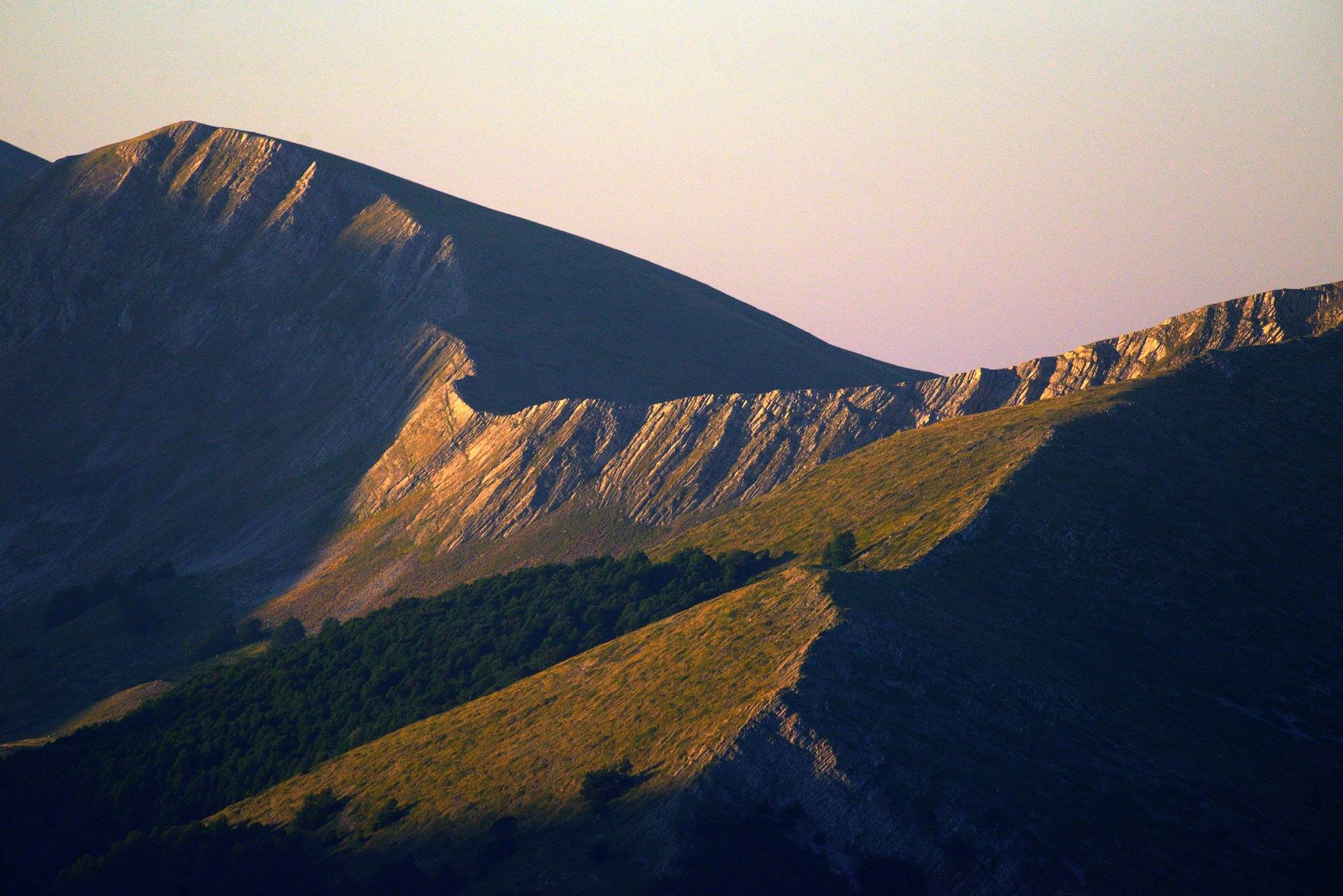 Wildlife Adventures -  Scopri l'Abruzzo | © Archivio Wildlife Adventures