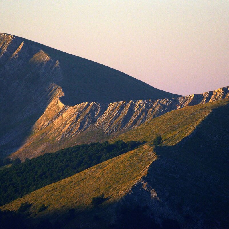 Wildlife Adventures -  Scopri l'Abruzzo | © Archivio Wildlife Adventures