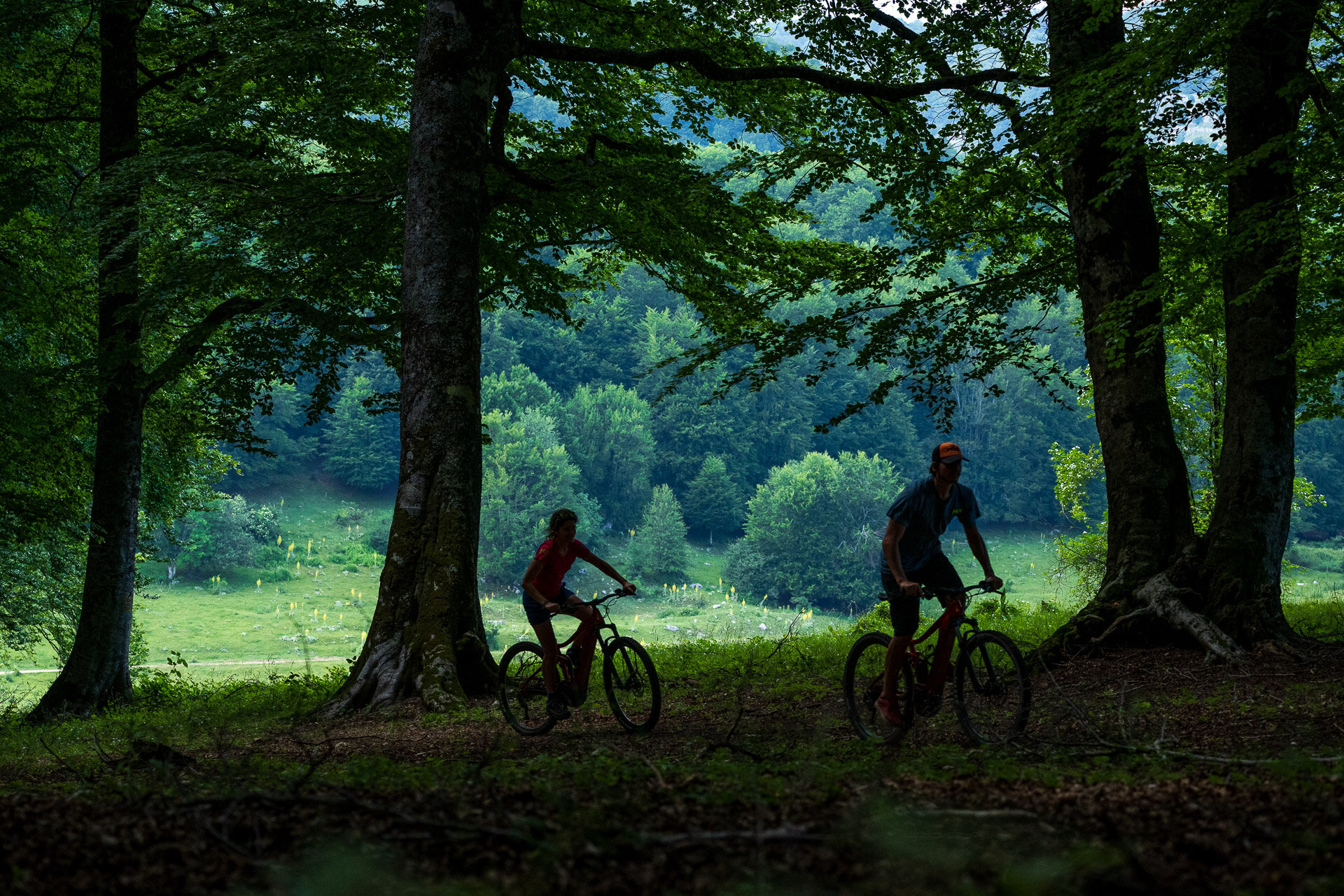 Campitelli Bike Bosco