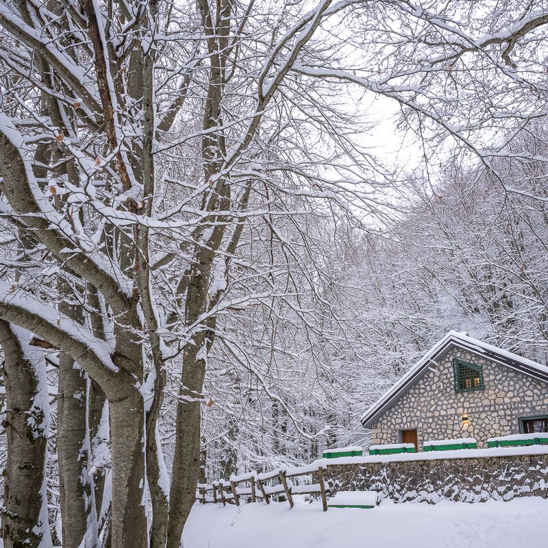 Winter landscape with Campitelli Refuge surrounded by snowy forests | © Umberto Esposito - Wildlife Adventures